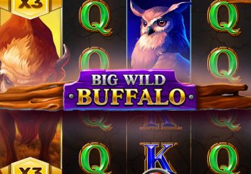 Игровой автомат Big Wild Buffalo в Норт казино